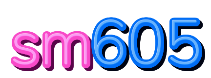 sm605 — logo kanal
